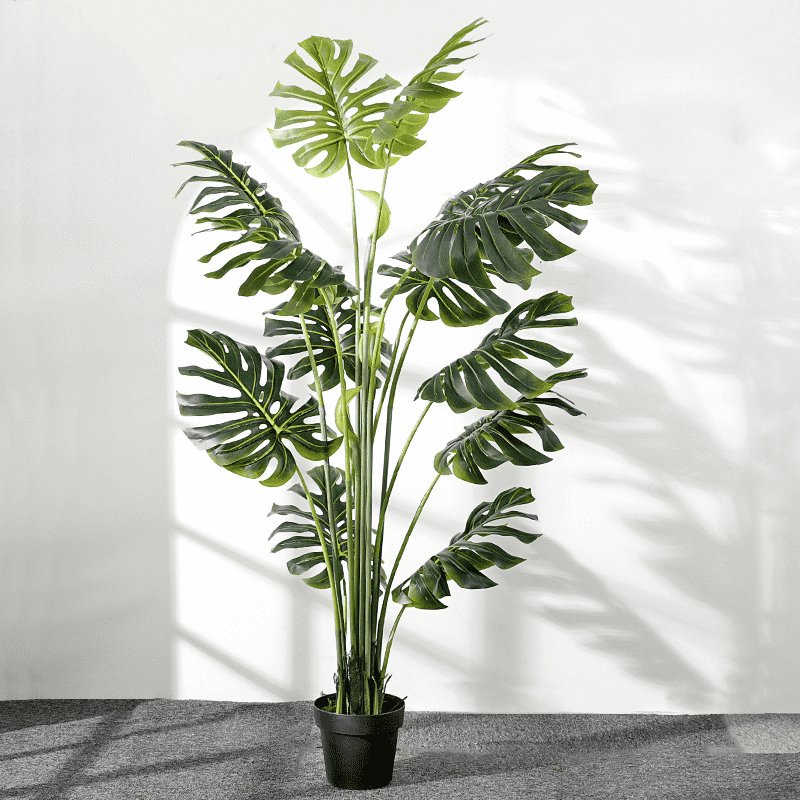 Chậu cây monstera giả