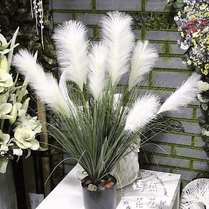 Cỏ bông lau giả Sang Trọng
